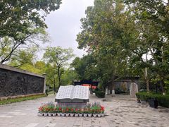 -大槐树寻根祭祖园