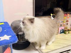 -鑫明明拉面(宁化路店)