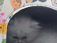 -宠颐生宠物医院外科·内科·皮肤科·影像科(石龙店)