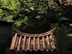 -苍山世界地质公园·石门关大峡谷