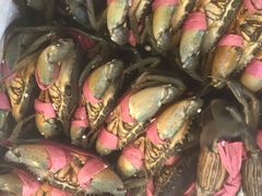 莲花公园煎蟹-莲花公园煎蟹(总店)