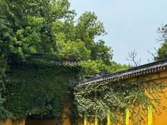 -西园戒幢律寺