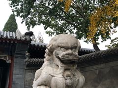 -清华大学-甲所餐厅