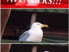 -百美汇影城(LUXE嘉里中心店)