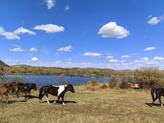 -塞罕坝国家级自然保护区