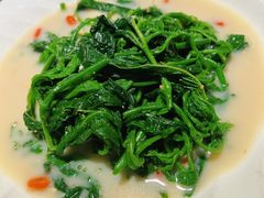 上汤桑叶-金苑酒家·客家菜·广东老字号(万象店)