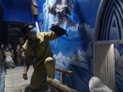 -成都浩海立方海洋公园