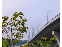 -沐仙湖湿地公园