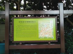 -中国茶叶博物馆(双峰馆区)