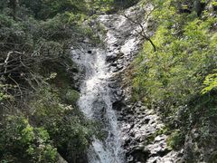 -东天目山风景区