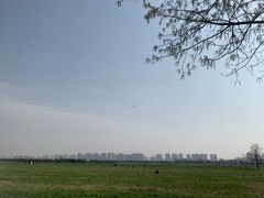 -汉长安城未央宫国家考古遗址公园