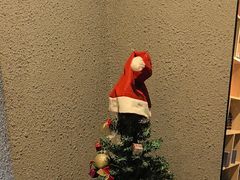 -梵猫·新养生(福州万象城店)