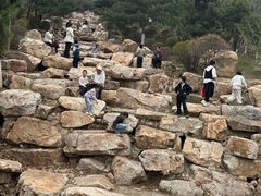 -莫子山公园
