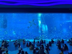 景点-上海海昌海洋公园