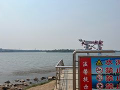 -丁香湖公园