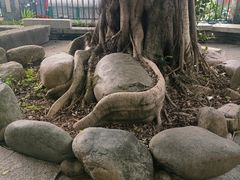 -黄埔古港