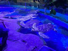 -海合安青岛极地海洋公园