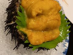 空运活海胆-天狗山料理(省体店)