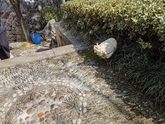 -迎江寺