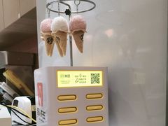 -野人先生现做冰淇淋(贵阳万象汇店)