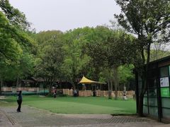 -WeLope紫金山探险公园