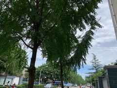 -四川大学(望江校区)