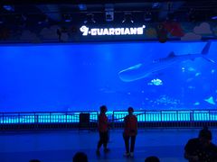 -烟台海昌鲸鲨海洋公园