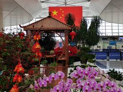 -温州龙湾国际机场