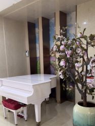 -厦门美莱整形美容医院