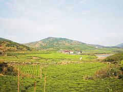 -嵛山岛