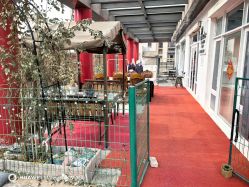 -黎蓓露·徒手骨雕蛋白抗衰·调肤管理