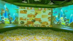 点击看大图 -宝燕乐园(闵行旗舰店)