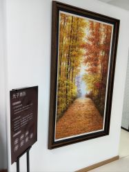 -薇兰专业脱毛连锁机构