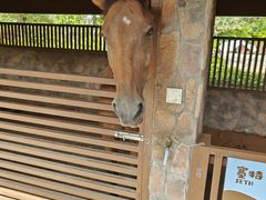 -珠海海泉湾神秘岛亲子乐园