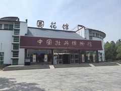 -曹州牡丹园