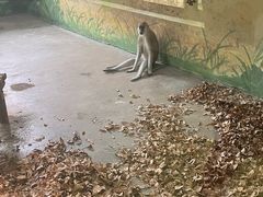 -济南野生动物世界