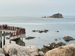 -养马岛旅游度假区