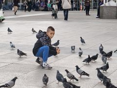 -耶拉契奇总督广场