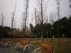 -眉山湿地公园(东坡区)
