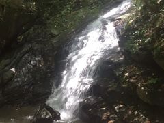 -藏龙百瀑风景区