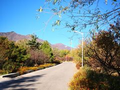 -北京鹫峰国家森林公园