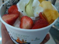 -三佰瑞冻酸奶(凯德MALL店)