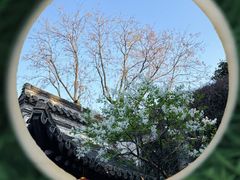 -个园