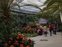 -北京植物园-展览温室