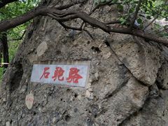 -阳台山自然风景区