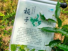 -世间香境·七溪地