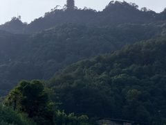 -缙云山景区