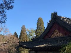 -香山公园
