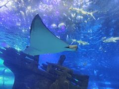 -江和美海洋公园