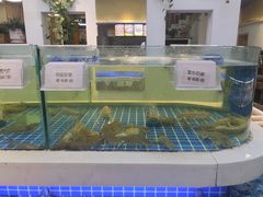 -大众海鲜(巨龙北路店)